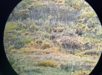 IMG_0672.jpeg