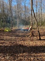 IMG_6341.jpeg