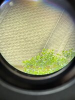 IMG_7405.JPG
