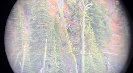 IMG_1370.jpeg