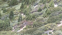 IMG_1373.jpeg