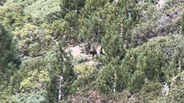 IMG_1378.jpeg