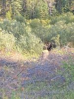 IMG_3977.jpeg