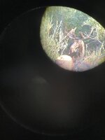 IMG_3981.jpeg