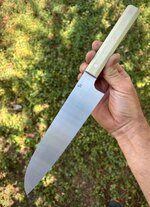 IMG_9976.jpeg