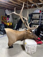 IMG_7183.jpeg