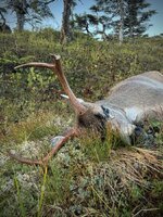 IMG_0401.jpeg