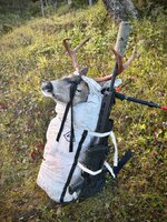 IMG_0402.jpeg