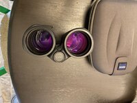 IMG_8967.jpeg