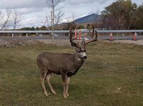 IMG_2505.jpeg