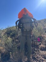 IMG_7020.jpeg