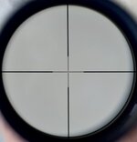 1756094541541.jpeg