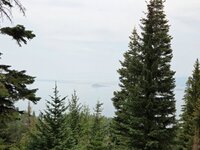 20250823_144749.jpg
