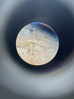 IMG_2100.jpeg