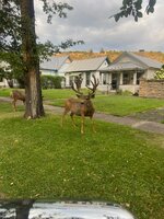IMG_20250814_194609.jpg