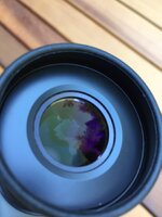 Swarovski Ocular View.JPG
