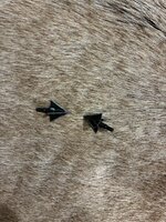 IMG_1626.jpeg