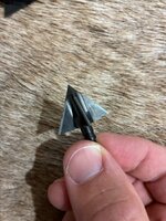 IMG_1628.jpeg