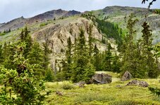 DSC_0595.JPG
