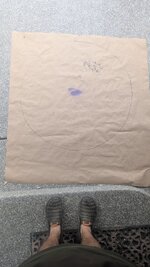PXL_20250825_222943305.jpg