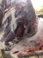 IMG_0354.jpeg