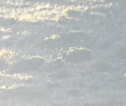 IMG_2438.jpeg