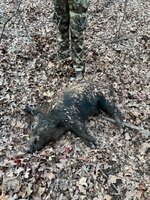 IMG_1428.jpeg
