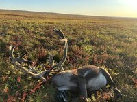 IMG_8070.jpeg