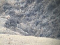 IMG_0303.jpeg