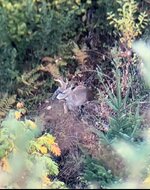 IMG_1137.jpeg