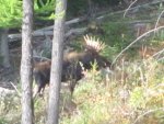 IMG_4044.jpg