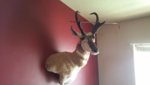 20160309_123652.jpg