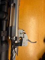 IMG_7527.jpeg