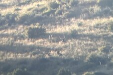 IMG_2424 2.jpeg
