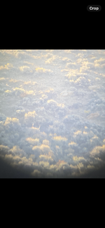 IMG_4534.png