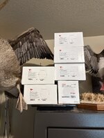 IMG_2482.jpeg