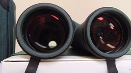 Swaro 15x56.JPG