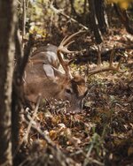 2412-DeerHunting-198-WEB.jpg