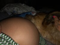 IMG_2036.jpeg