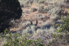 IMG_8778.JPG