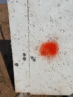 IMG_9145.jpeg