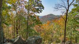 Ark BG1-3.jpg