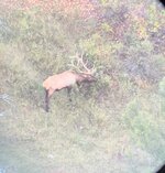 IMG_6728.jpeg