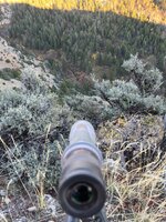 IMG_1825.jpeg