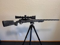 IMG_2521.jpeg