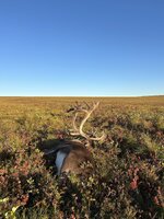 IMG_8049.jpeg