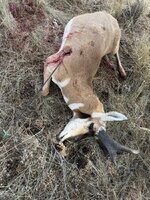 IMG_6216.jpeg