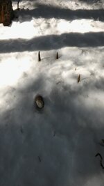 20160225_143328.jpg