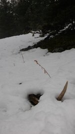 20160329_181707.jpg