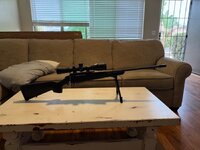 IMG_0655.jpeg